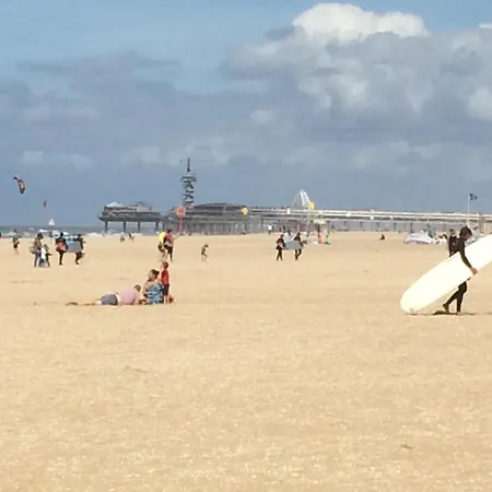 Sea & Dunes The Hague