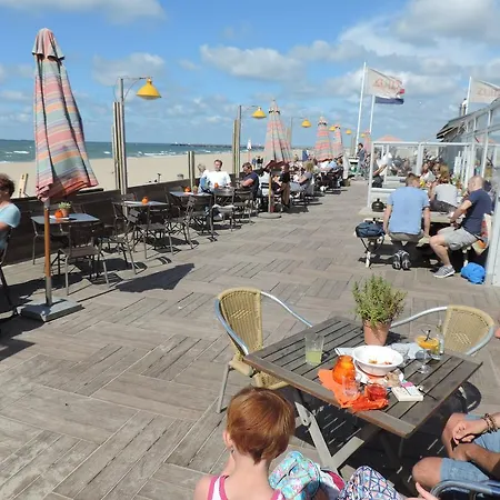 Sea & Dunes * The Hague
