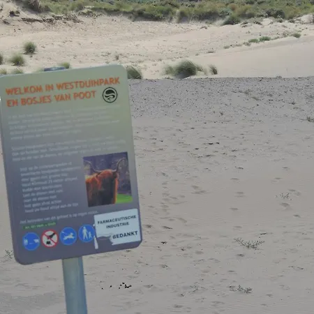 Apartmán Sea & Dunes *