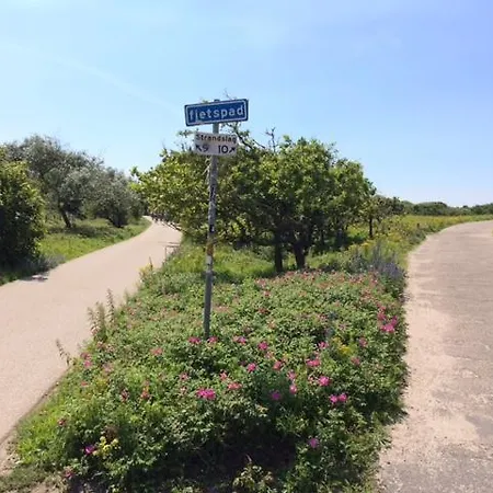 Sea & Dunes 아파트 헤이그