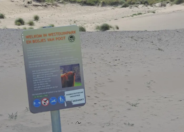 Lejlighed Sea & Dunes *