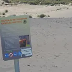 شقة Sea & Dunes *